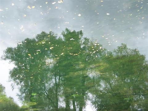 Planinsko polje – fotografija 2
