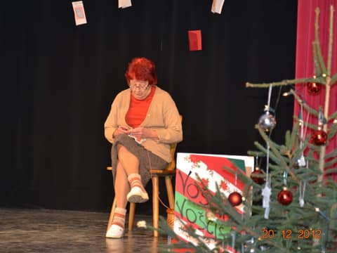Prednovoletno srečanje 2012 – fotografija 25