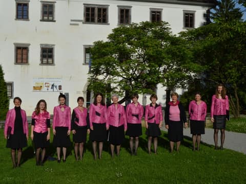 Nastop v Polhovem Gradcu 2015 – fotografija 2