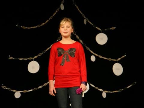 Prednovoletno srečanje 2013 – fotografija 3