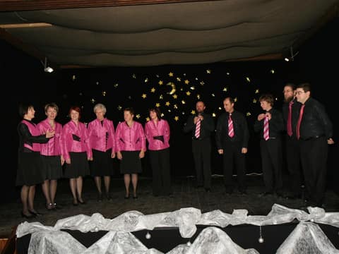 PREDNOVOLETNI KONCERT 2009 [foto: Kolar Miro] – fotografija 1