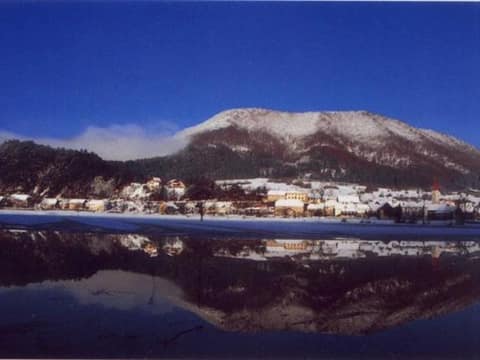 Planinska gora – fotografija 2